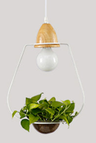 Metal frame with glass planter pendant light