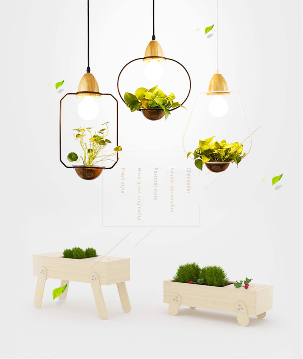 Metal frame with glass planter pendant light