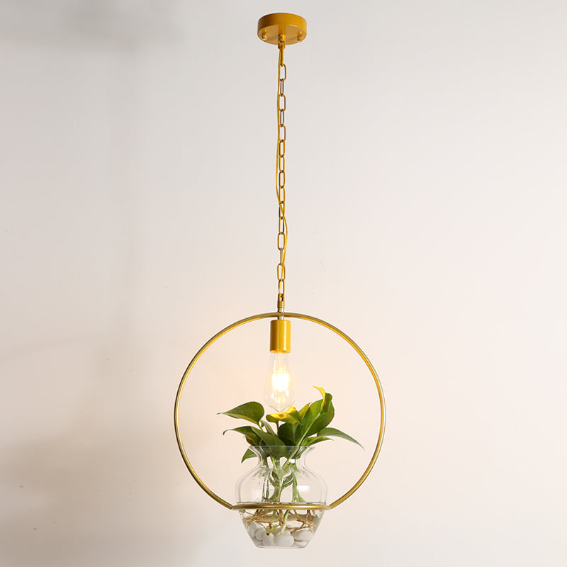 Metal and glass hanging light for living plants