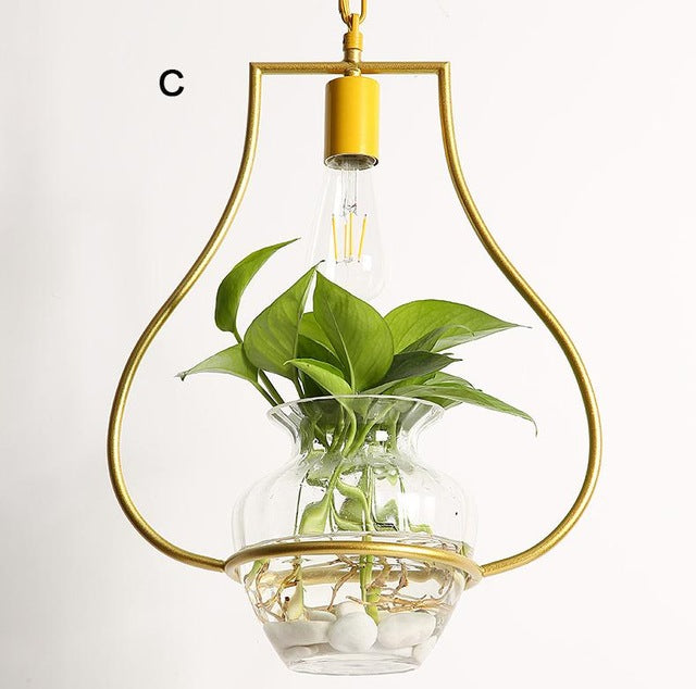 Metal and glass hanging light for living plants