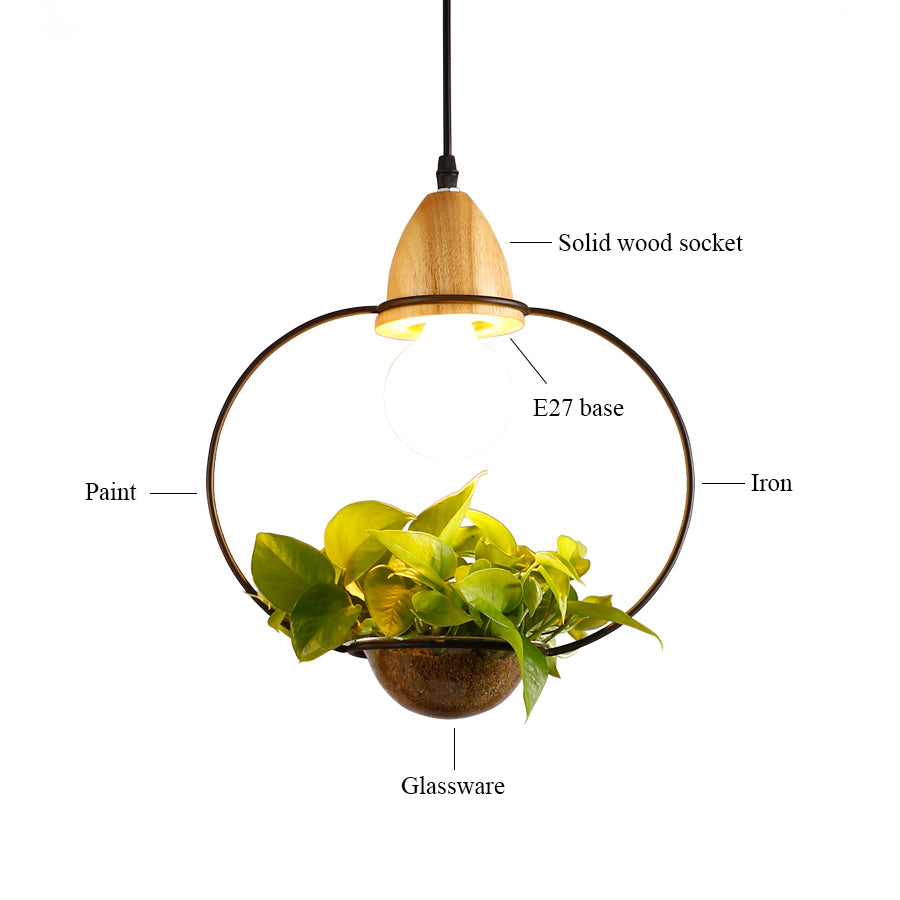 Metal frame with glass planter pendant light